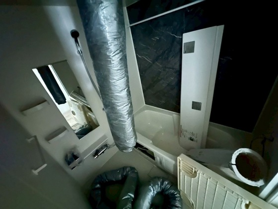 ブリックフォレスト