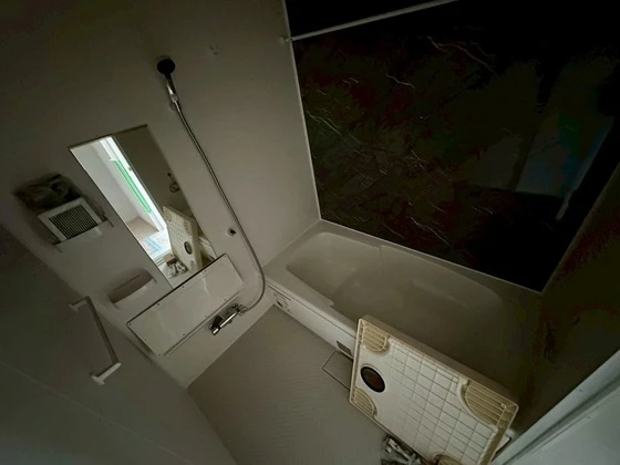 ブリックフォレスト