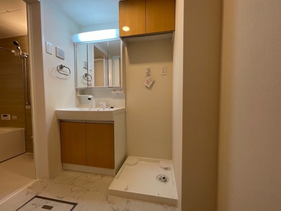 オータムめぐみⅢ