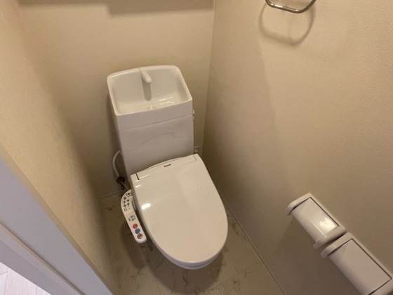 オータムめぐみⅢ