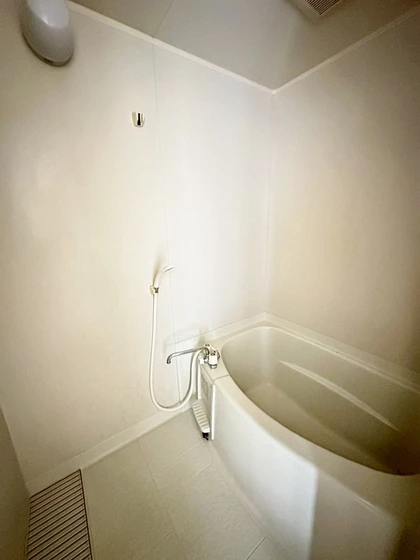 アルトハイデⅡB