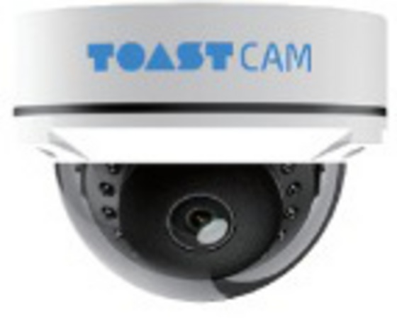 REGALEST Grace 高柳