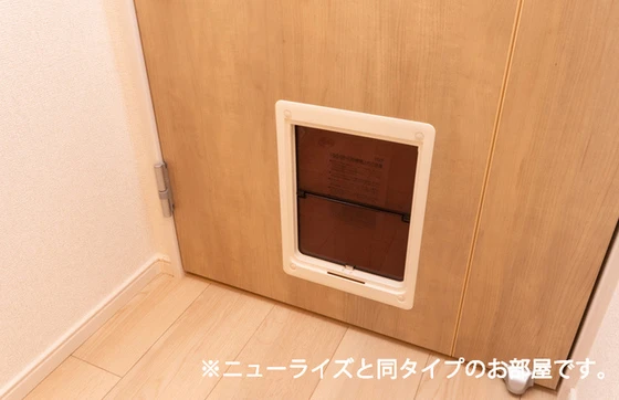 ネオグレイスさい