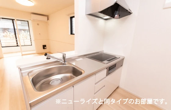 ネオグレイスさい