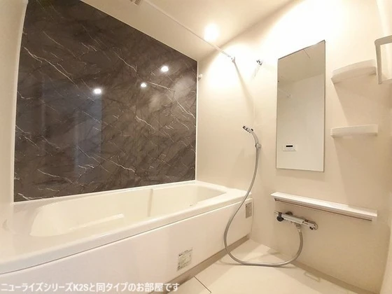 プティパニエ A