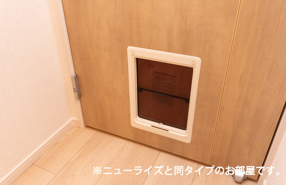 プティパニエ B