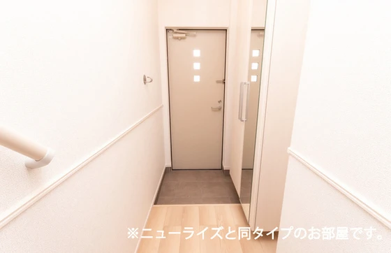 プティパニエ B