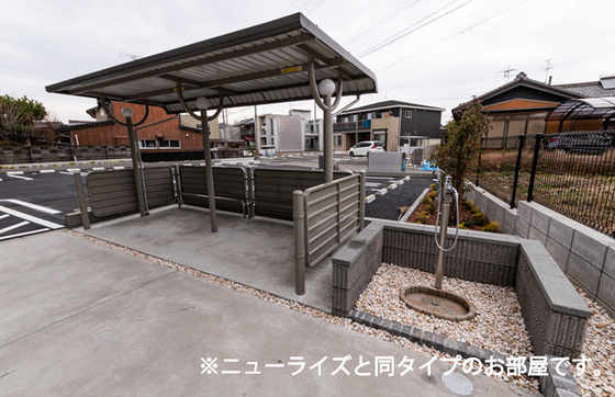 プティパニエ C