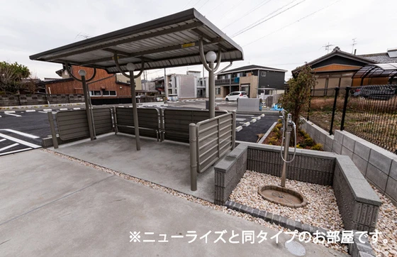 プティパニエ C