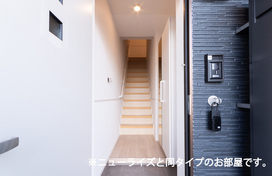 プティパニエ C