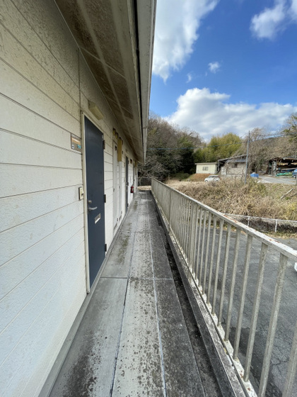 ハミングバード