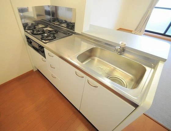 レオネクストラモ フェリチタ