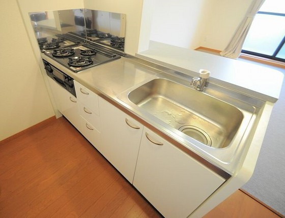 レオネクストラモ フェリチタ