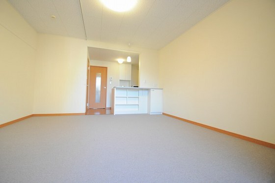 レオネクストラモ フェリチタ