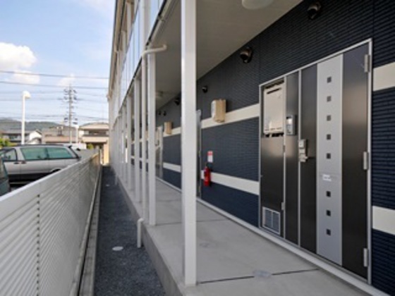 レオネクストラモ フェリチタ