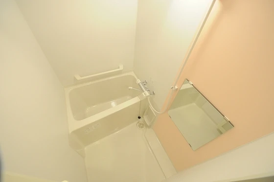 レオネクストプランドールⅡ