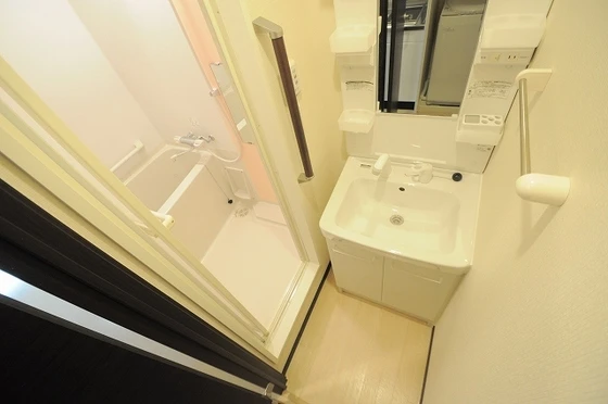 レオネクストプランドールⅡ