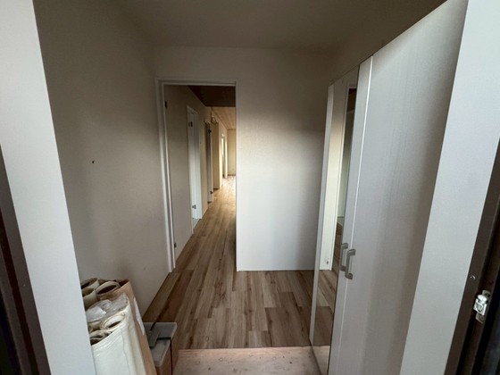 アマゾン・リリー