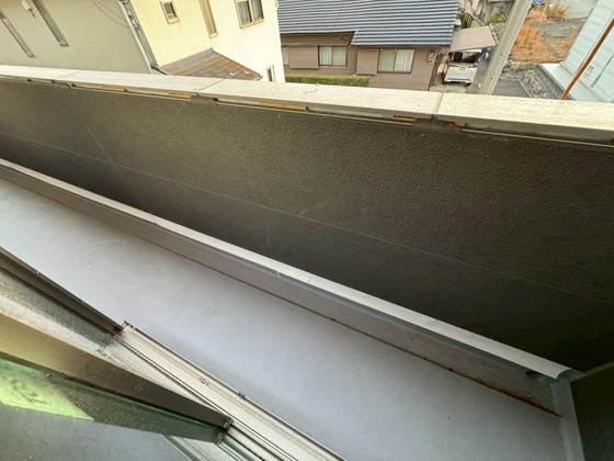 アマゾン・リリー