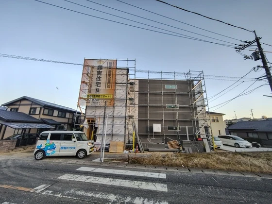 アマゾン・リリー