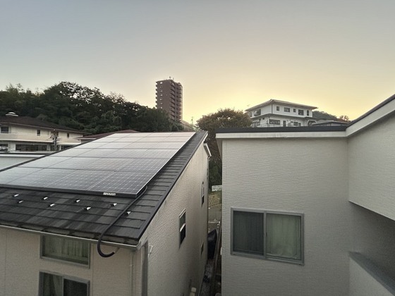 メイユールZAKI No.12