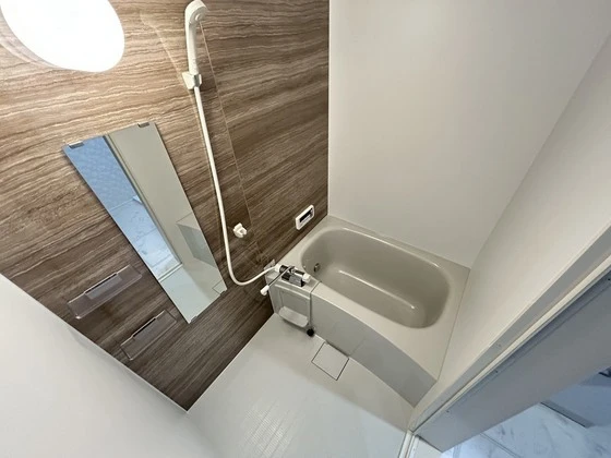 メイユールZAKI No.12