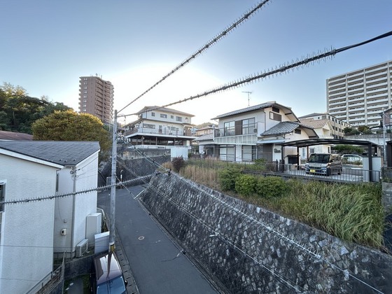 メイユールZAKI No.12