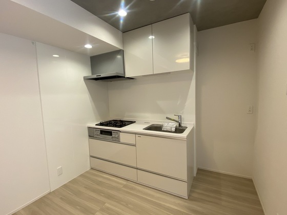 メゾン カルムⅡ