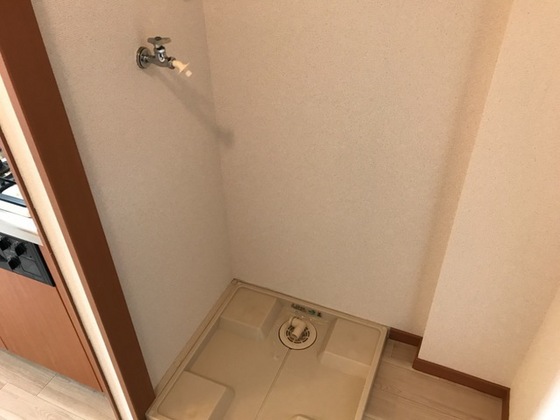 ラピス メドゥ-