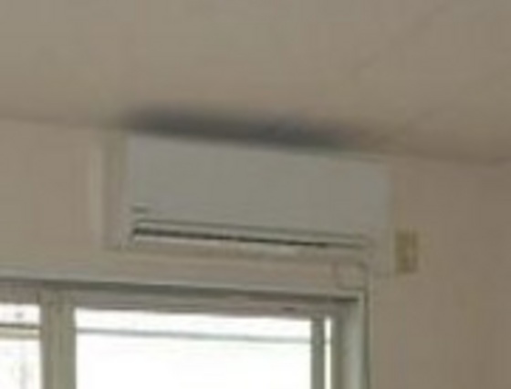 メゾンすみれB棟