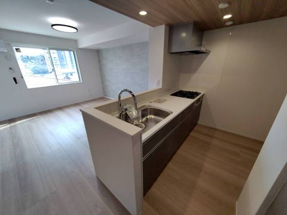 アルカディア中山