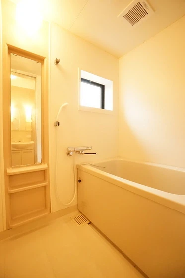 フレマリール関