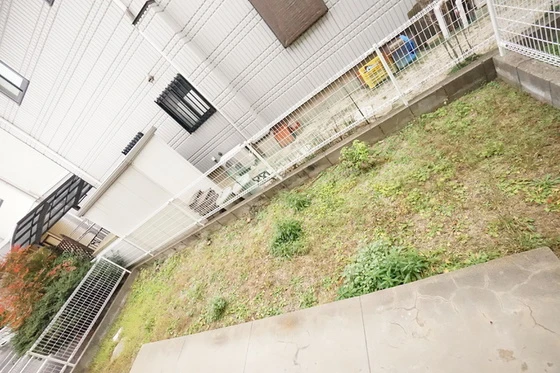 フレマリール関