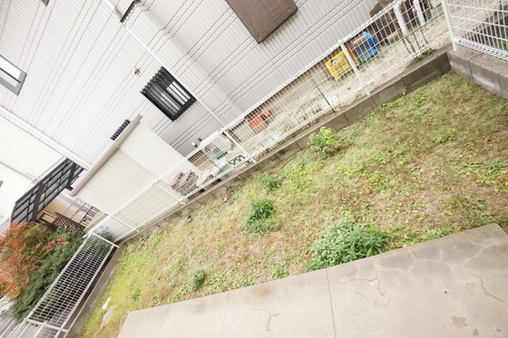 フレマリール関