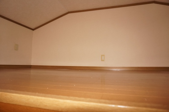 レスカール伊島