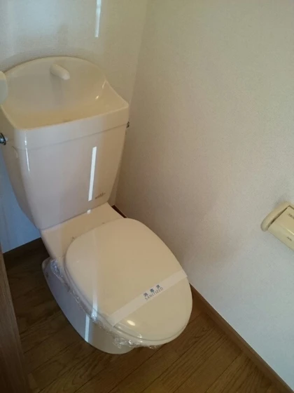 ウィスティリアB