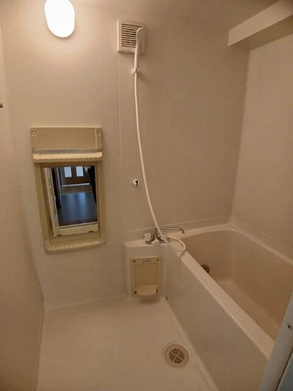 ウィスティリアB