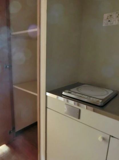 ウィルコ-ト米木