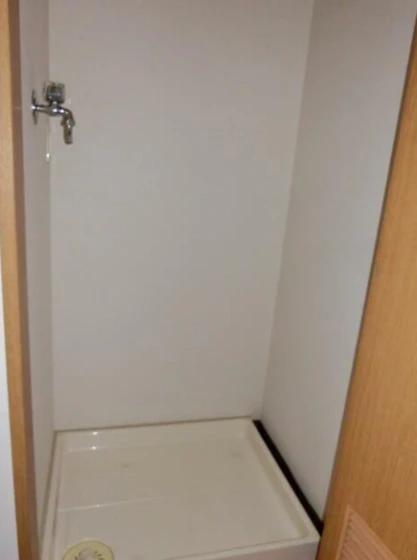 ウィルコ-ト米木