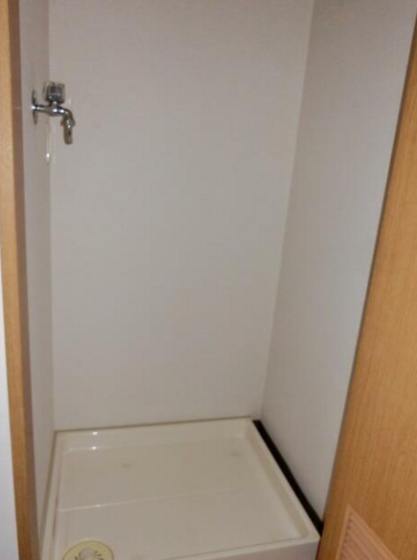 ウィルコ-ト米木