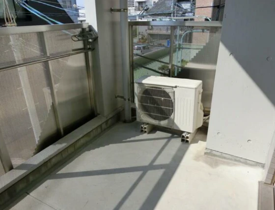 ウィルコ-ト米木