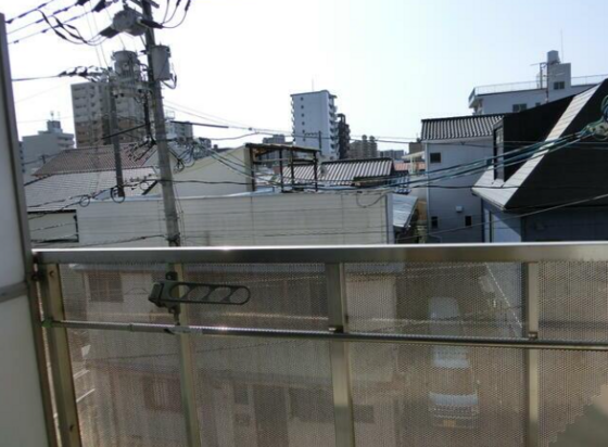 ウィルコ-ト米木