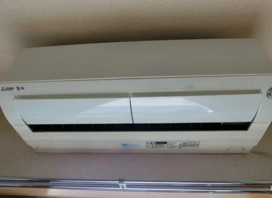 ウィルコ-ト米木