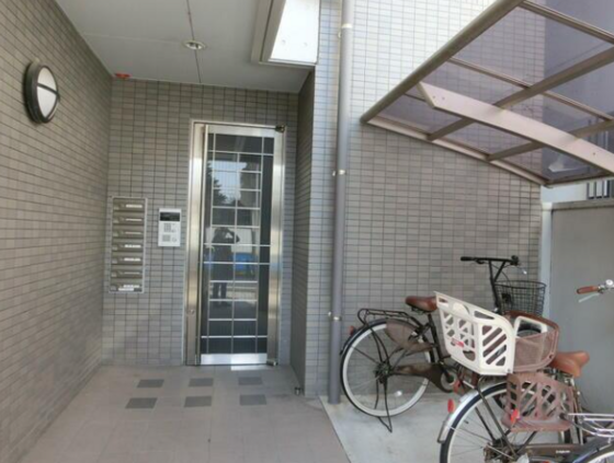 ウィルコ-ト米木