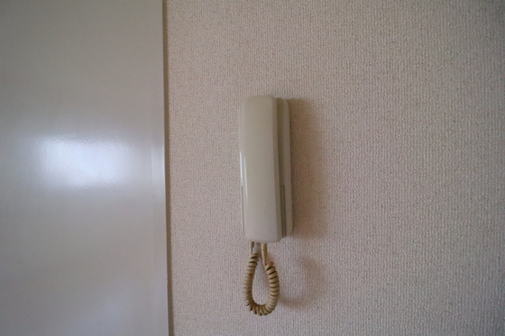 ネオポリス 堀江邸