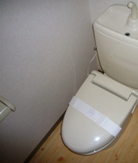 トゥインクルスター