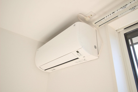 プランドルkumano