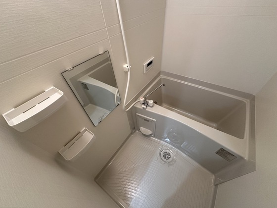 パインツリ―立戸