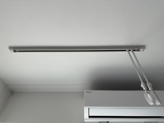 パインツリ―立戸