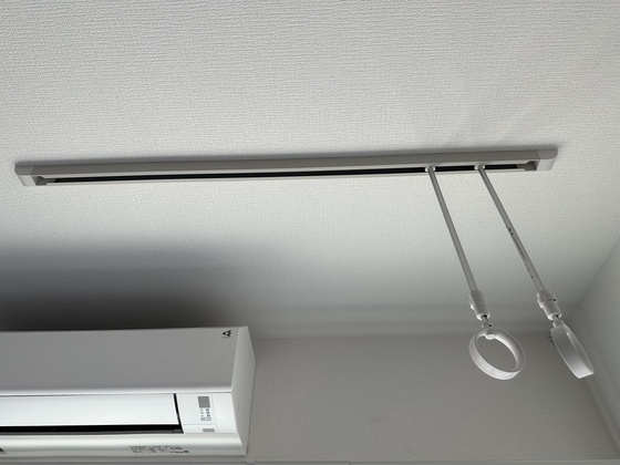 パインツリ―立戸